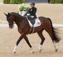 PARADRESSAGE PARADRESSAGE