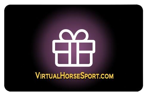 Give the gift of a ride from a professional judge or coach.