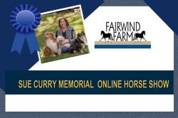 SueCurryMemorialBanner SueCurryMemorialBanner