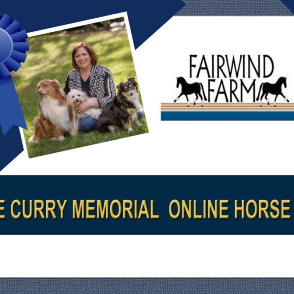 #13574 Sue Curry Memorial Online Horse Show