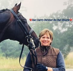 Sue Curry
