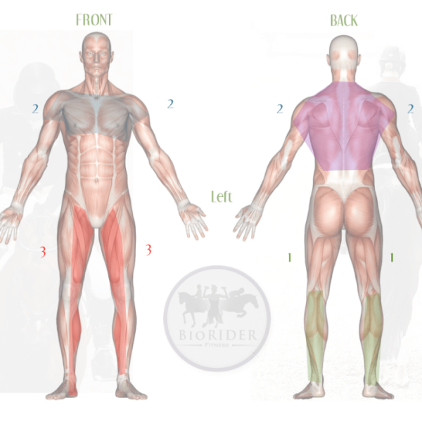 #7109 RIDER FITNESS & POSITION REPORT