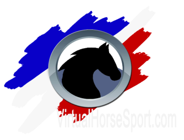 VHSLogo2022Hat