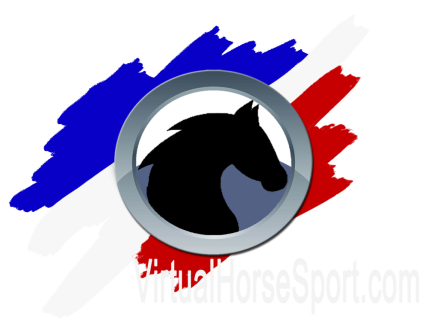 VHSLogo2022Hat VHSLogo2022Hat