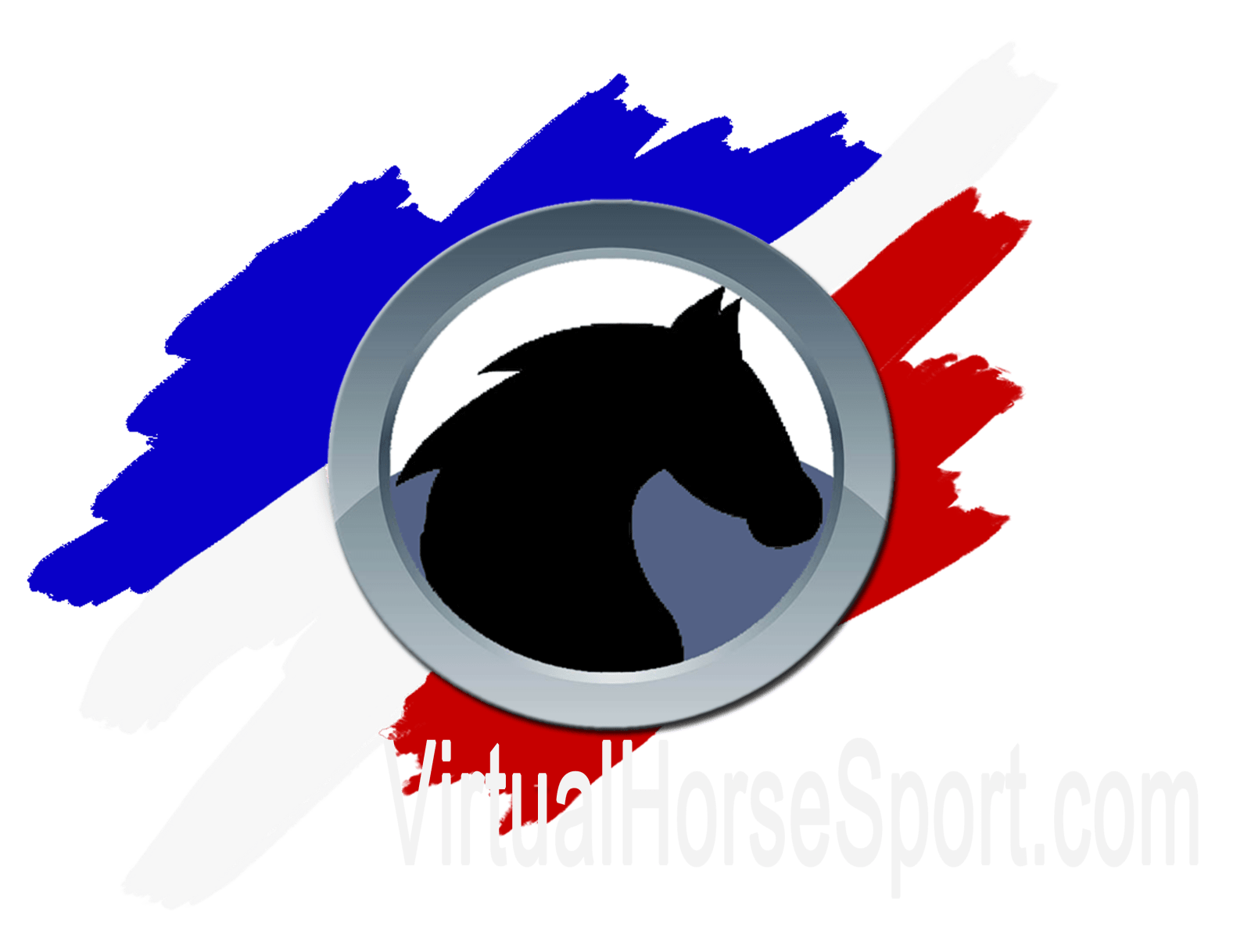 VHSLogo2022Hat