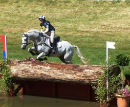 horse-trials-379466_1280 horse-trials-379466_1280