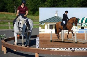 workingequitationimage workingequitationimage