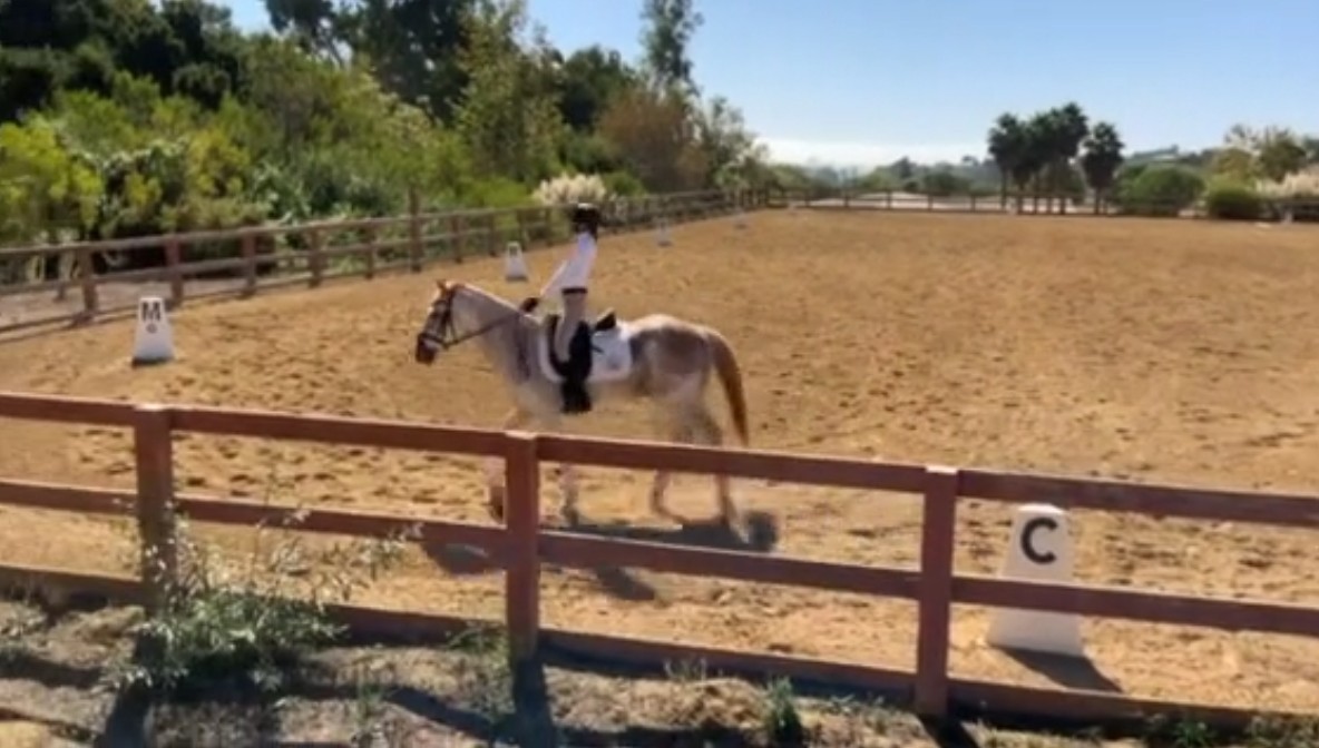 fenceintheway fenceintheway