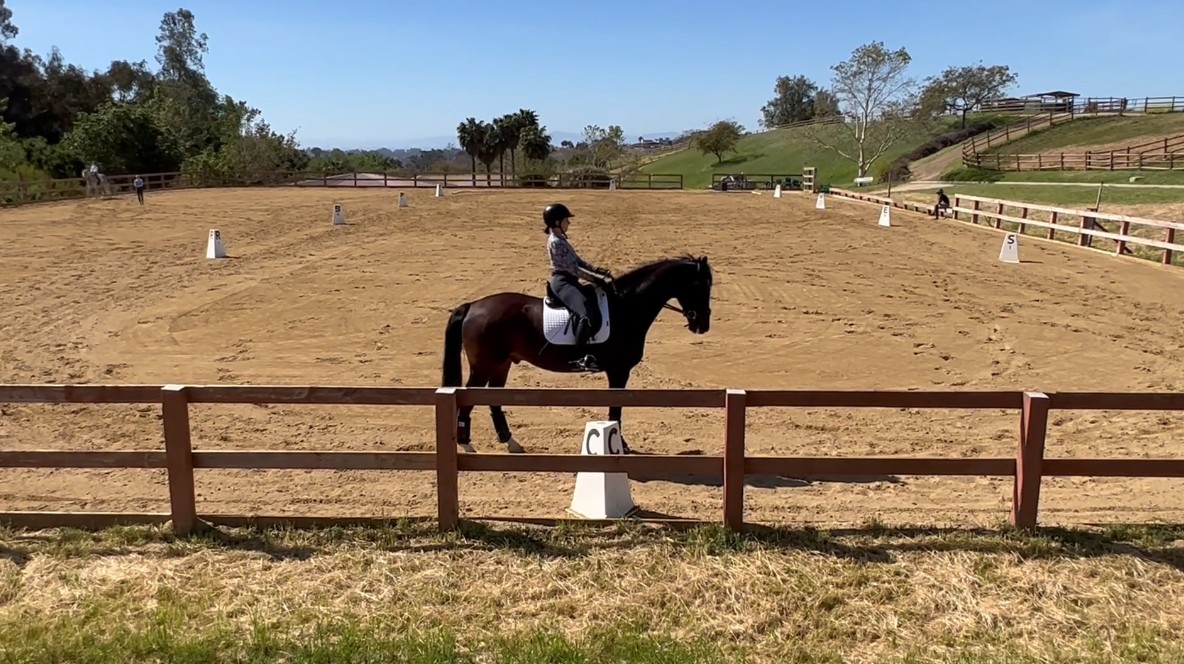 fenceintheway2 fenceintheway2