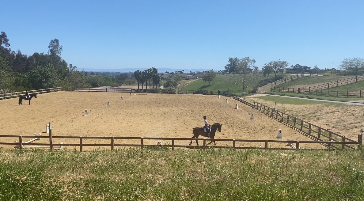 fenceintheway3 fenceintheway3